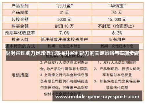 财务管理助力足球俱乐部提升盈利能力的关键策略与实施步骤 财务管理助力足球俱乐部提升盈利能力的关键策略与实施步骤