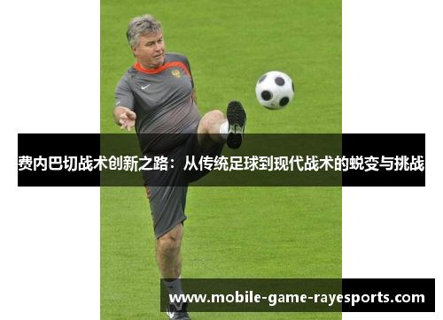 费内巴切战术创新之路：从传统足球到现代战术的蜕变与挑战