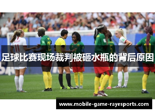 足球比赛现场裁判被砸水瓶的背后原因