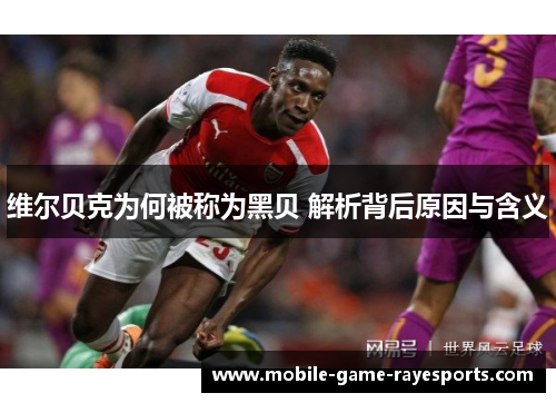 维尔贝克为何被称为黑贝 解析背后原因与含义