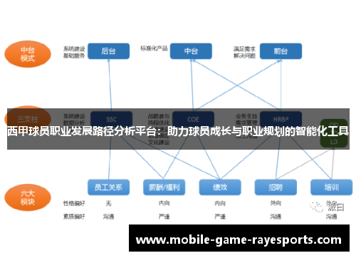 西甲球员职业发展路径分析平台：助力球员成长与职业规划的智能化工具