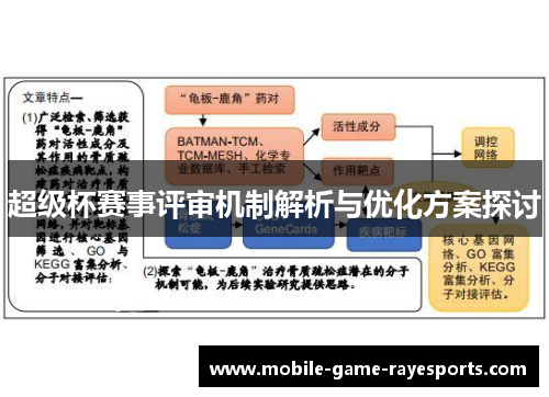 超级杯赛事评审机制解析与优化方案探讨