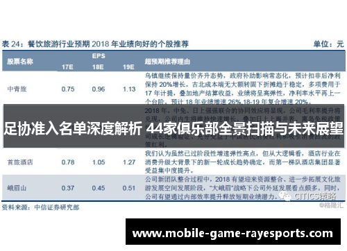 足协准入名单深度解析 44家俱乐部全景扫描与未来展望