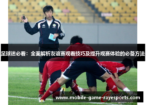 足球迷必看：全面解析友谊赛观看技巧及提升观赛体验的必备方法