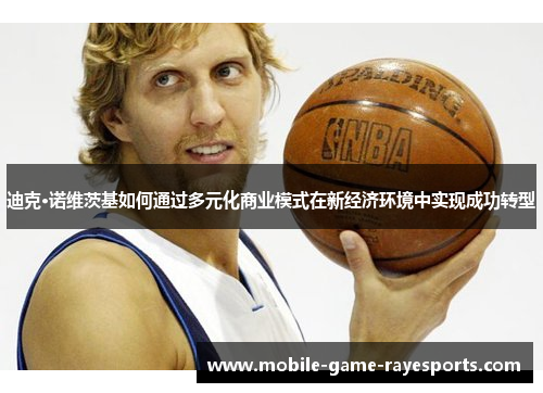 迪克·诺维茨基如何通过多元化商业模式在新经济环境中实现成功转型